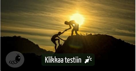 poikaystävä testi|Testaa